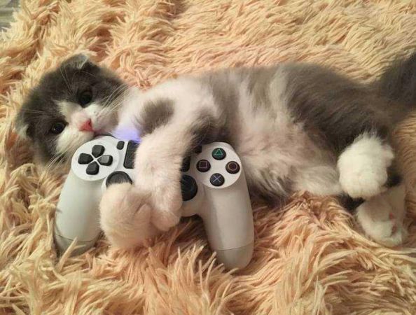 Günün en çok paylaşılan fotoğrafları