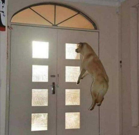 Günün en çok paylaşılan fotoğrafları