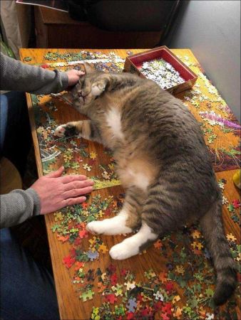 Günün en çok paylaşılan fotoğrafları