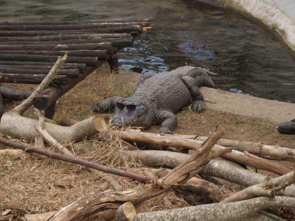 Günün en çok paylaşılan fotoğrafları