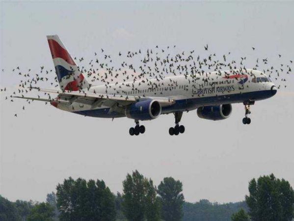 Günün en çok paylaşılan fotoğrafları