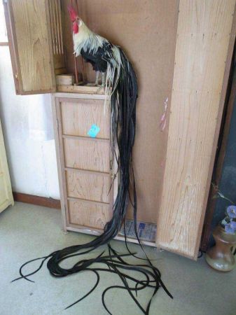 Günün en çok paylaşılan fotoğrafları