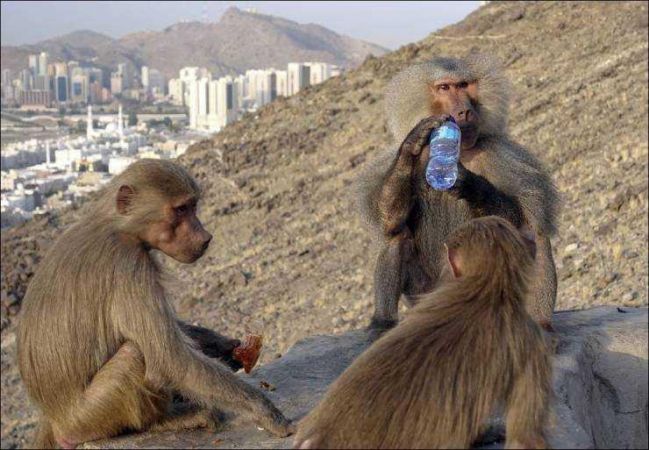 Günün en çok paylaşılan fotoğrafları