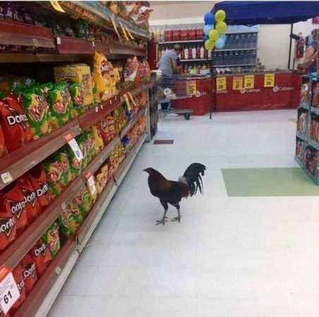 Günün en çok paylaşılan fotoğrafları