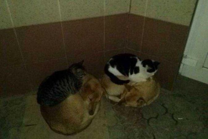 Günün en çok paylaşılan fotoğrafları