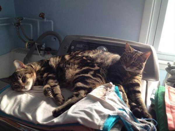 Günün en çok paylaşılan fotoğrafları