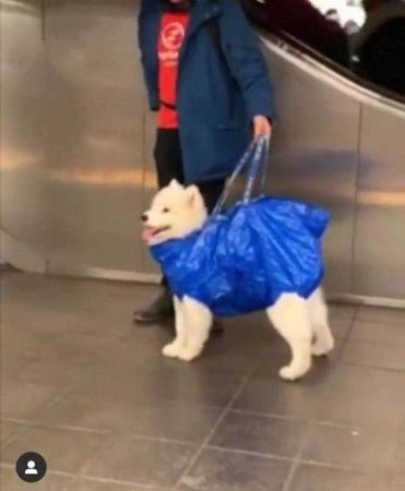 Günün en çok paylaşılan fotoğrafları