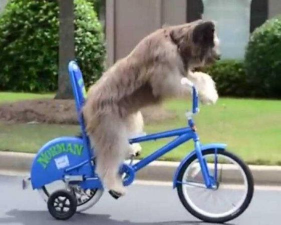 Günün en çok paylaşılan fotoğrafları