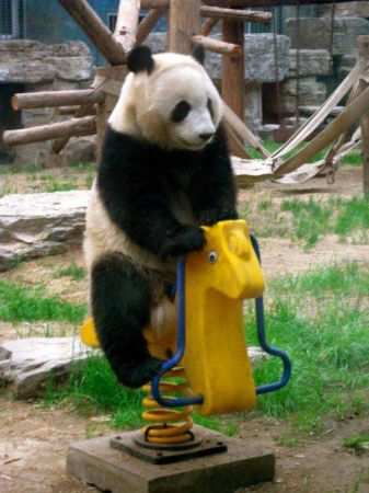 Günün en çok paylaşılan fotoğrafları