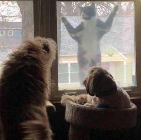 Günün en çok paylaşılan fotoğrafları