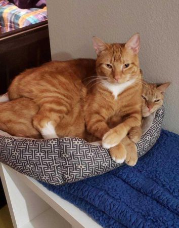 Günün en çok paylaşılan fotoğrafları