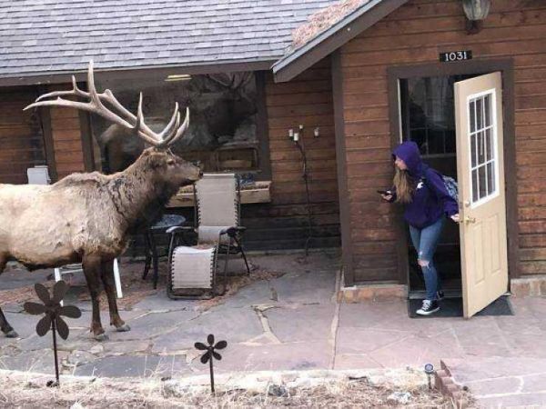 Günün en çok paylaşılan fotoğrafları