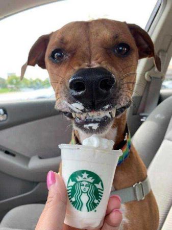 Günün en çok paylaşılan fotoğrafları