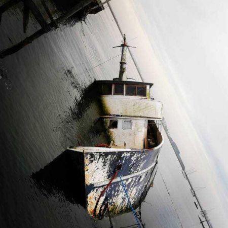 Günün en çok paylaşılan fotoğrafları