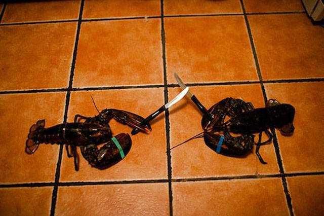 Günün en çok paylaşılan fotoğrafları