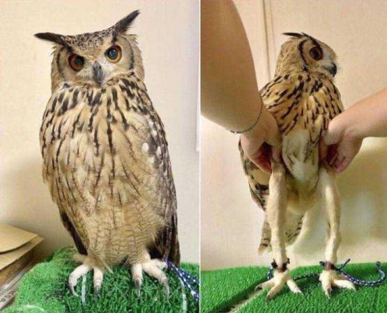 Günün en çok paylaşılan fotoğrafları