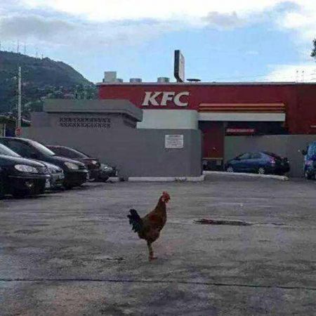 Günün en çok paylaşılan fotoğrafları