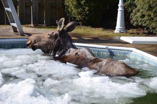 Günün en çok paylaşılan fotoğrafları