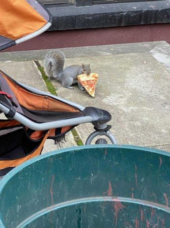 Günün en çok paylaşılan fotoğrafları