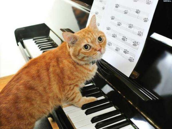 Günün en çok paylaşılan fotoğrafları