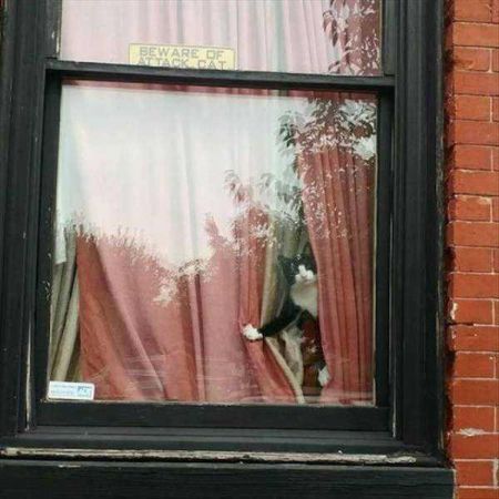 Günün en çok paylaşılan fotoğrafları