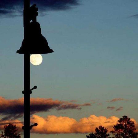 Günün en çok paylaşılan fotoğrafları