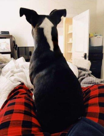 Günün en çok paylaşılan fotoğrafları