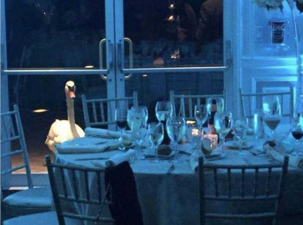 Günün en çok paylaşılan fotoğrafları