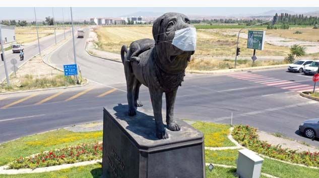 Köpek heykeline maske takıldı