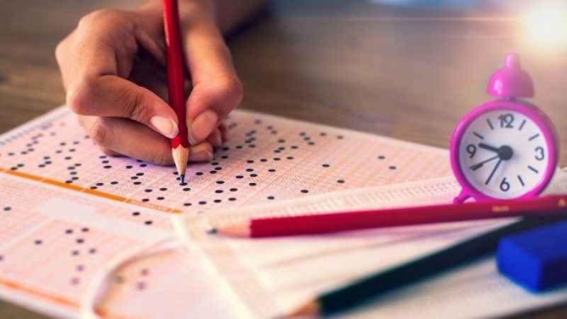 ALES giriş belgeleri erişime açıldı