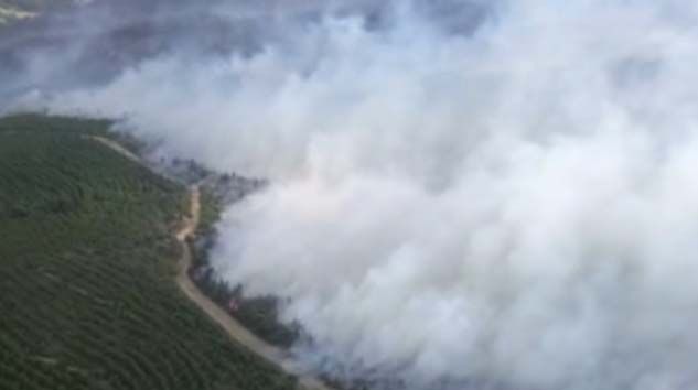 Çanakkalede Gelibolu Yarımadası’nda büyük yangın