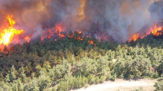 Çanakkalede Gelibolu Yarımadası’nda büyük yangın
