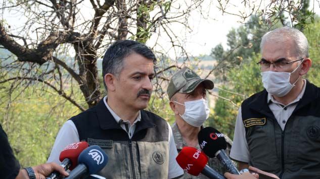 Çanakkale’de 450 hektar alan etkilendi