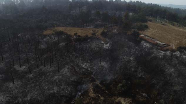 Yangının boyutu gün ağırınca ortaya çıktı