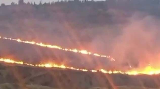 İzmir’de ormanlık alanda yangın