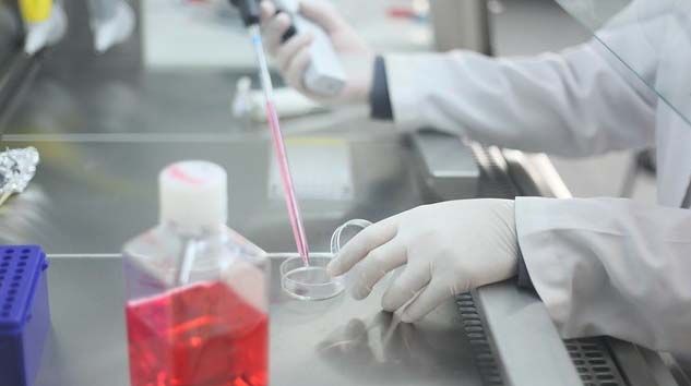 Tıp eğitimine uluslararası destek