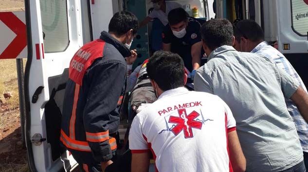 Mardin’deki kazada Hacı Cin hayatını kaybetti