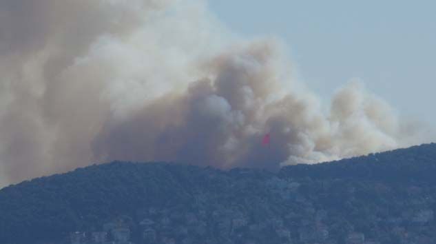 Heybeliada’da orman yangını