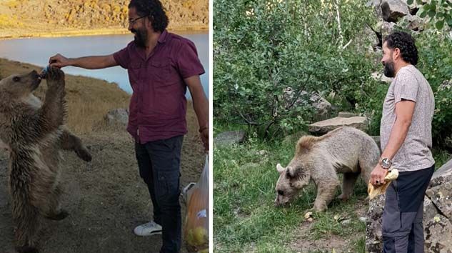 Nemrut’un maskotu kardeş ayılardan biri kayıp