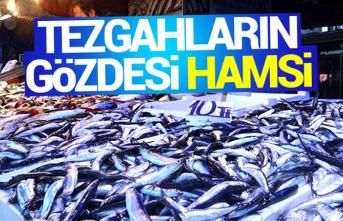 Hamsi yeniden ucuzlayacak
