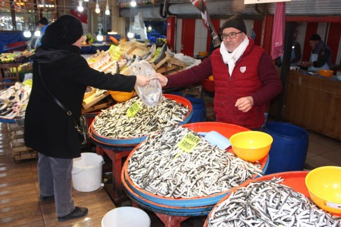 Hamsi yeniden ucuzlayacak