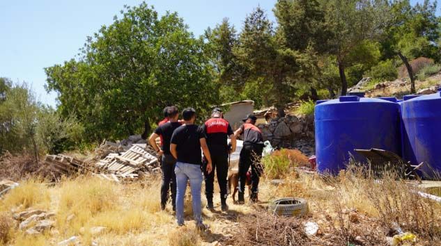 Köpeğin getirdiği insan kafatası polisi alarma geçirdi