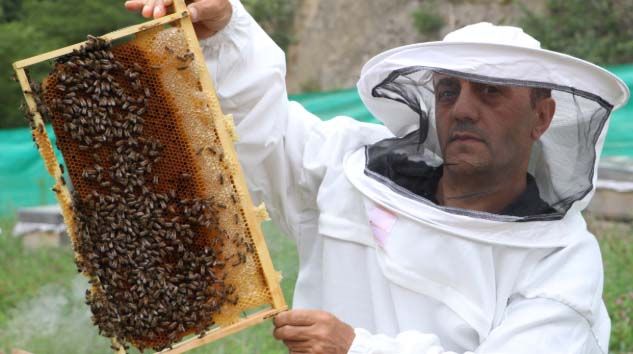 Anzer balı fiyatında bu yıl artış yok