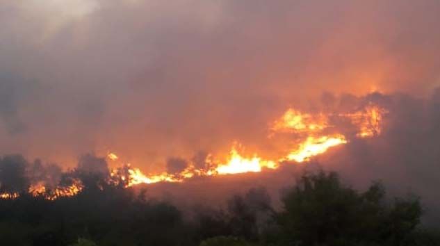 Elazığ’da 2 gün süren orman yangını söndürüldü