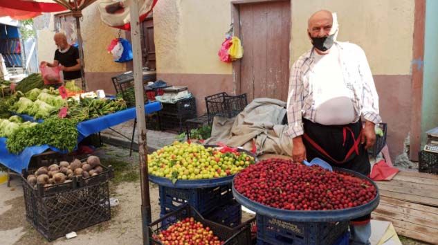 Ünlülerin tercih ettiği şifa kaynağı ‘güvem eriği’ doğada yetişiyor