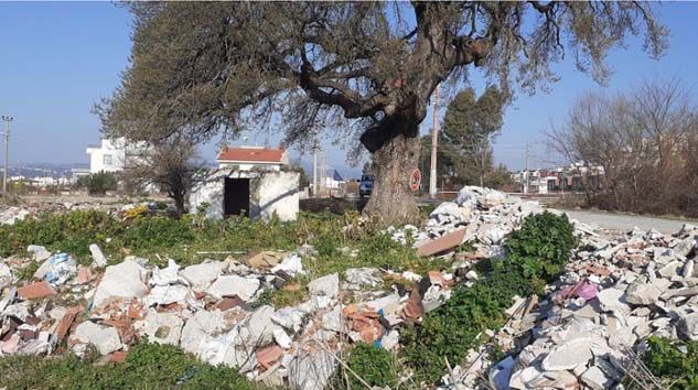 Kuşadası’nda 300 yıllık anıt ağacın çevresini hafriyat dökerek, çöplüğe çevirdiler