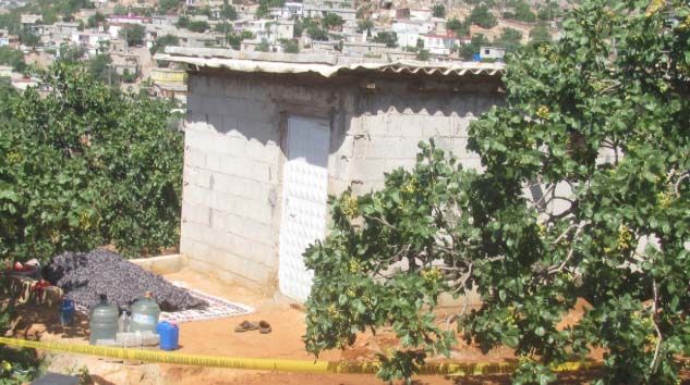 Antep fıstığı üreticisi bağ evinde ölü bulundu