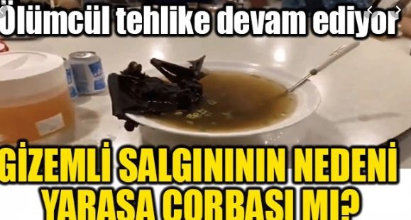 Dünyayı dehşete düşüren virüsle ilgili bomba ‘yarasa’ iddiası