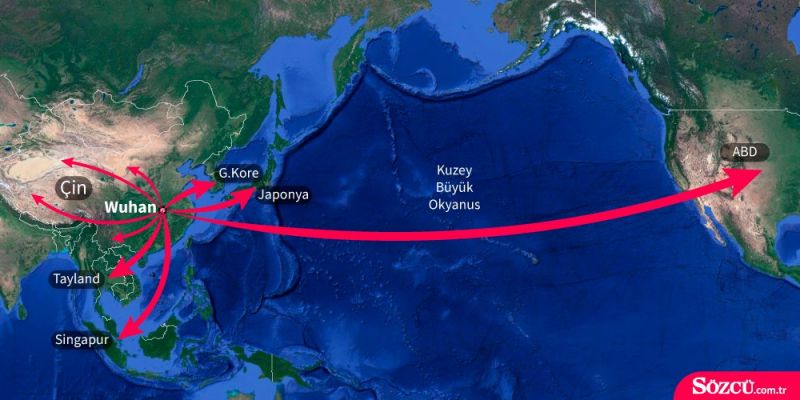 Dünyayı dehşete düşüren virüsle ilgili bomba ‘yarasa’ iddiası