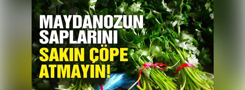 Maydanozun bilinmeyen yararları